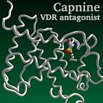 June 7, 2007: Capnine, VDR antagonist